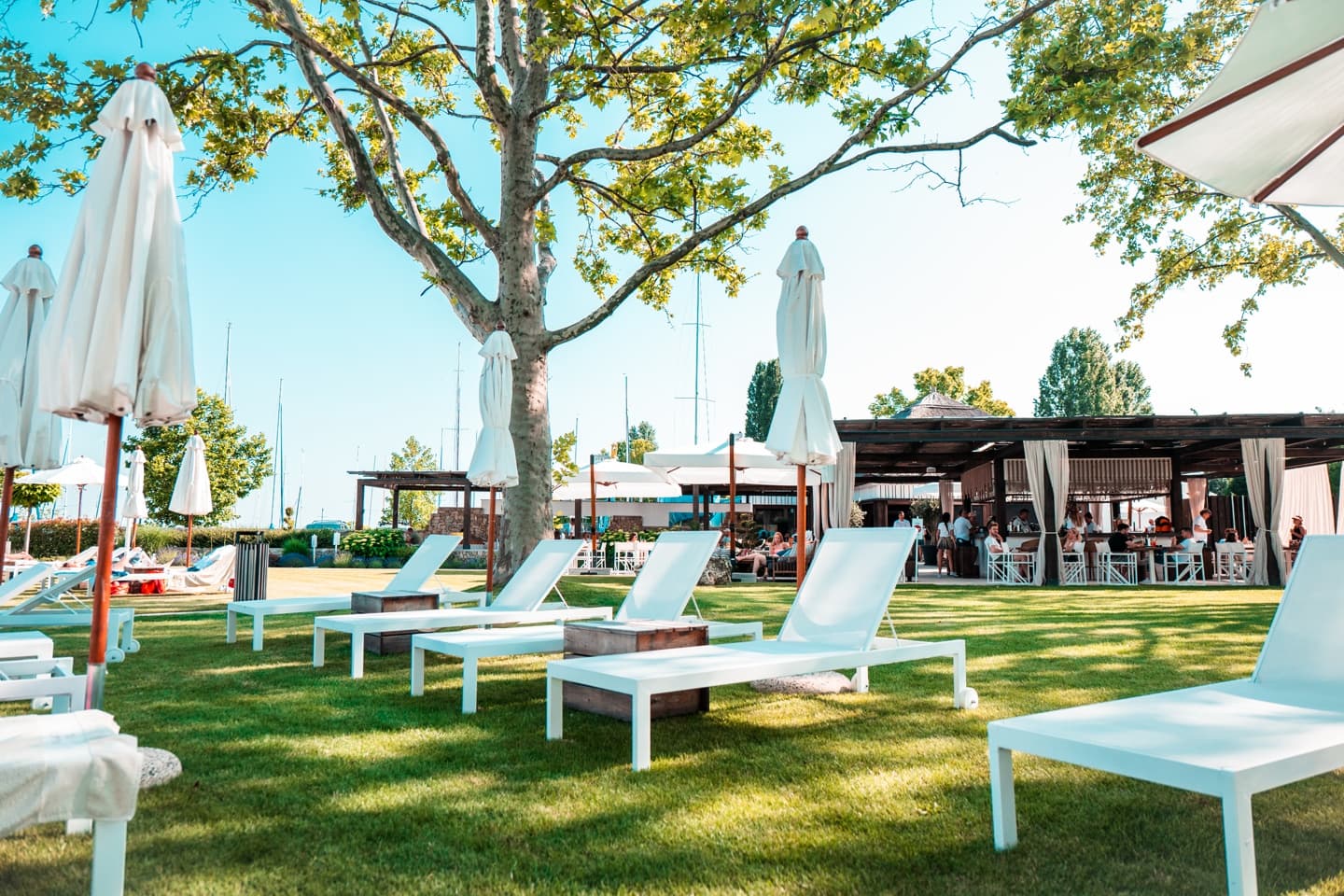 White lounge chairs on a green lawn under shady trees at a sunny waterfront club.