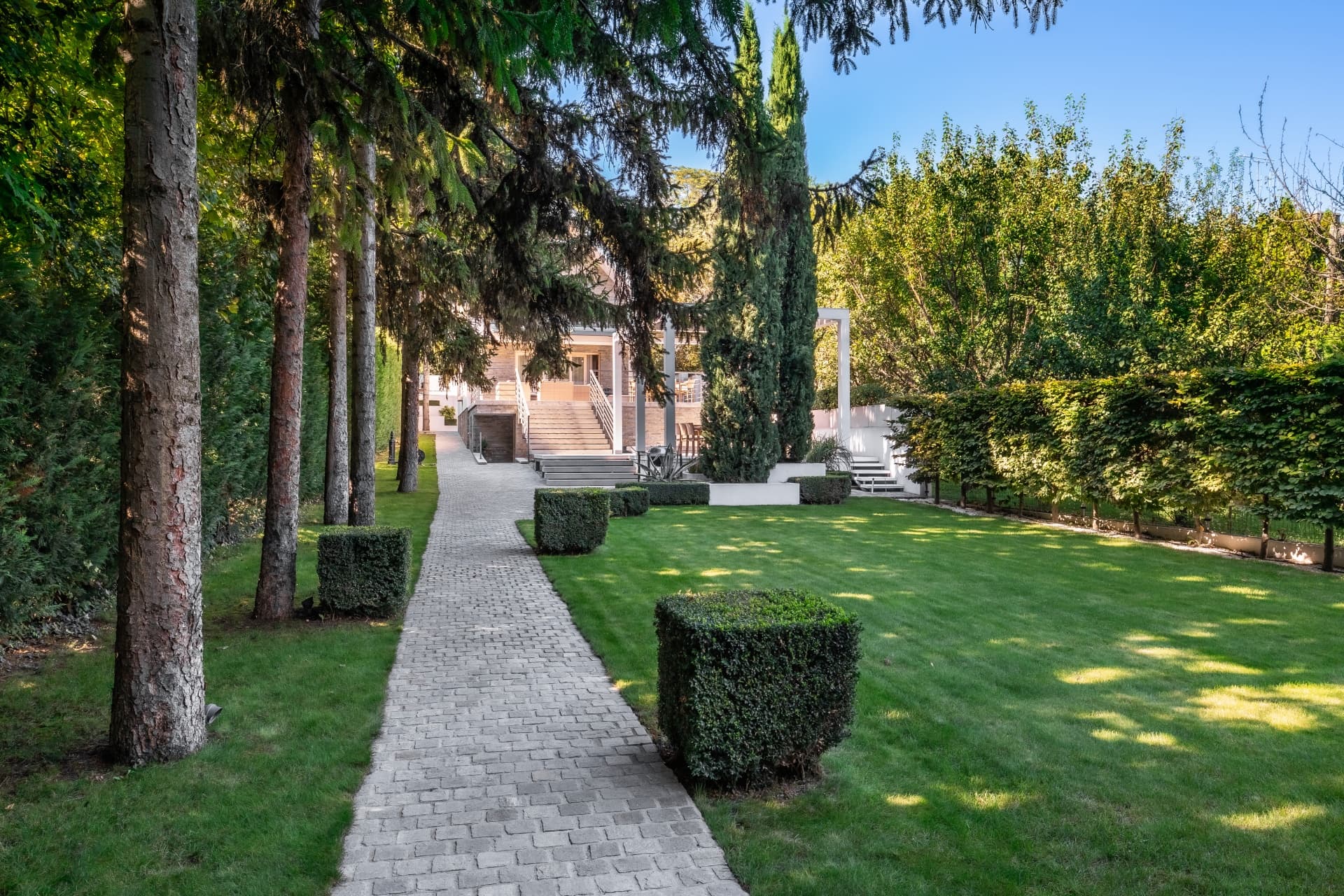 Stone path through a manicured lawn with square hedges leading to a modern white house.